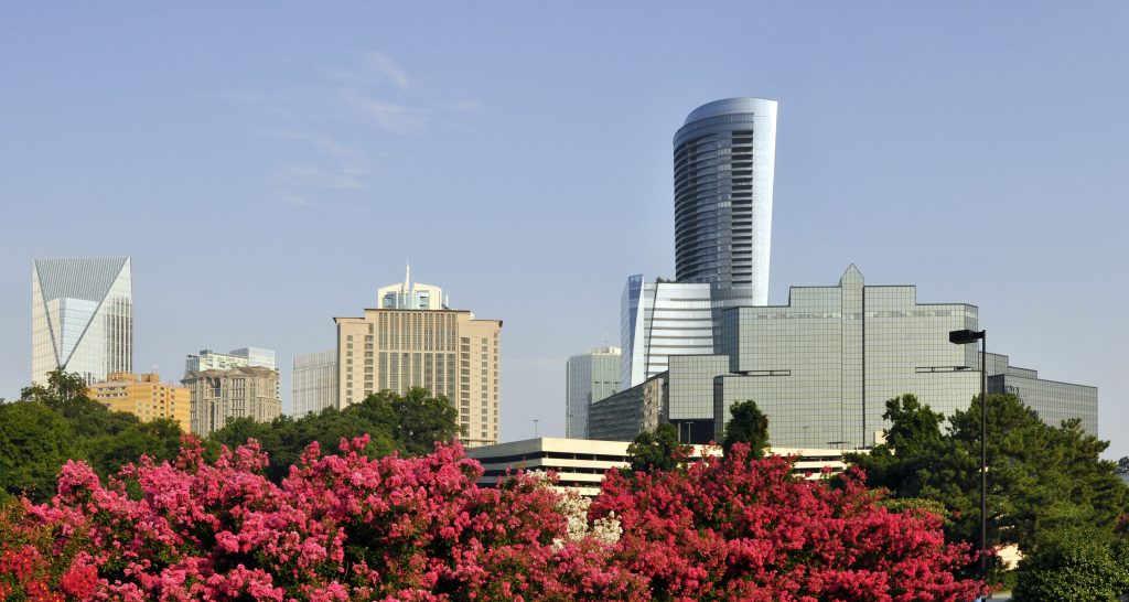 Authentic Hardwood Flooring, Buckhead